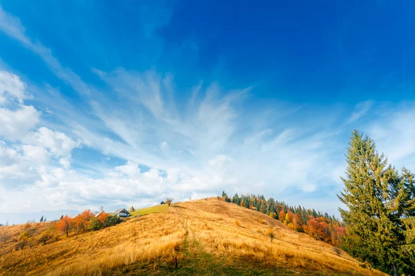 多彩的秋天风景 — 图库照片