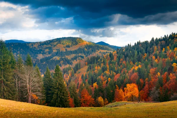 Renkli sonbahar manzarası — Stok fotoğraf