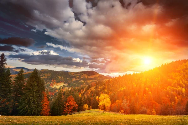 Kleurrijke herfst landschap — Stockfoto