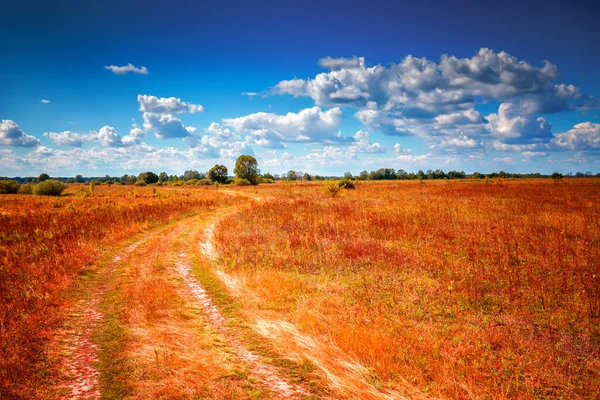 Порожній село дорога — стокове фото