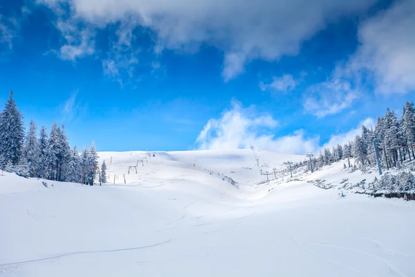 Paisagem inverno — Fotografia de Stock