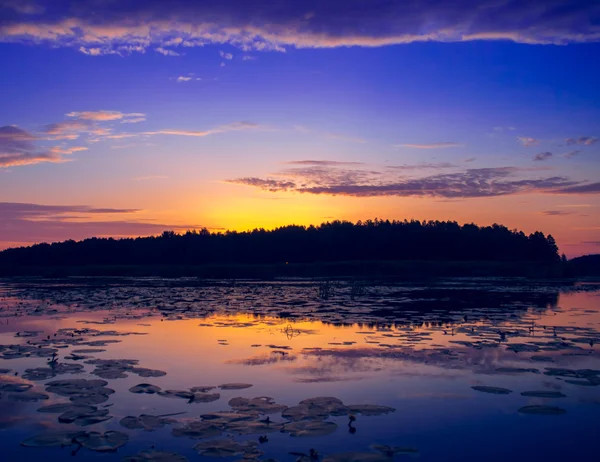 Fantastisk solnedgang. – stockfoto