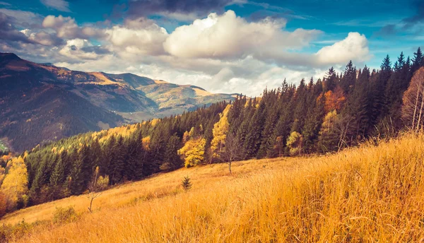 Fantastik güneşli hills — Stok fotoğraf