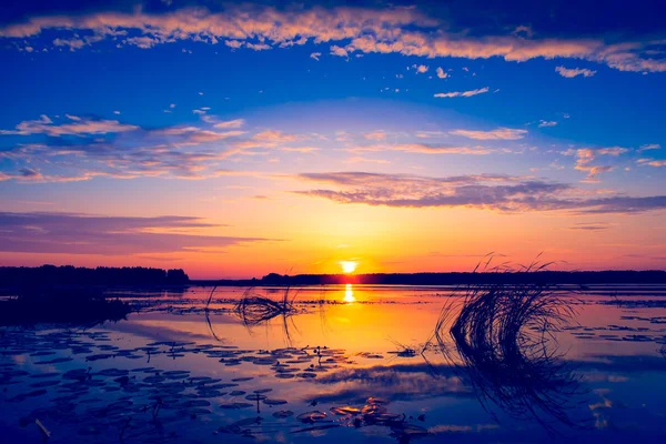 Amazing sunset — Stock Photo, Image