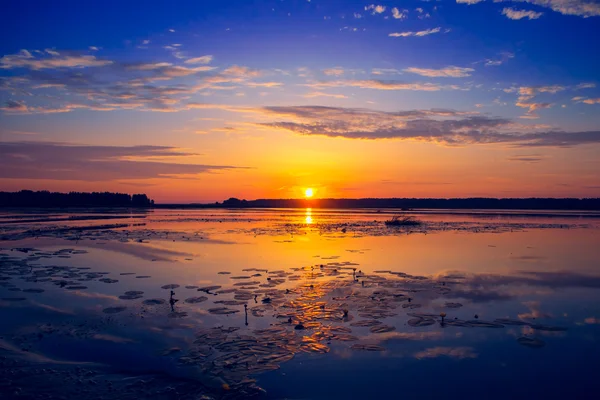 すばらしい夕日 — ストック写真