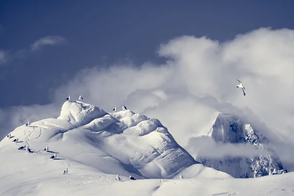 Belas montanhas cobertas de neve — Fotografia de Stock