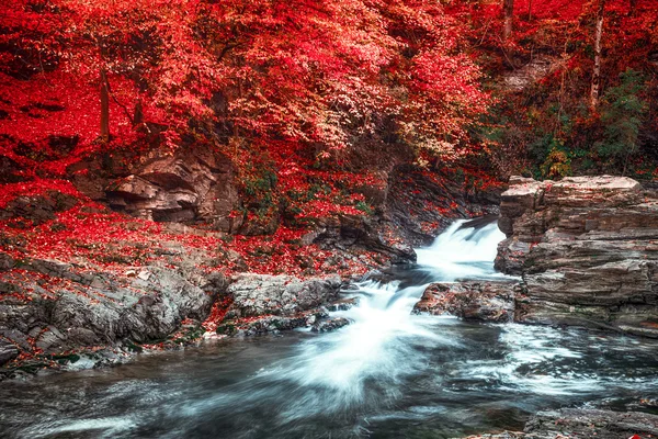 Dağ Akıntısı — Stok fotoğraf