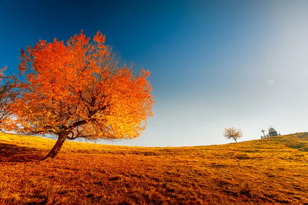 Kleurrijke herfst landschap — Stockfoto