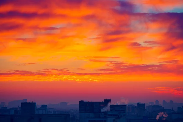 Puesta de sol naranja — Foto de Stock