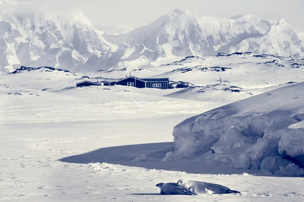 Prachtige landschap in antarctica — Stockfoto