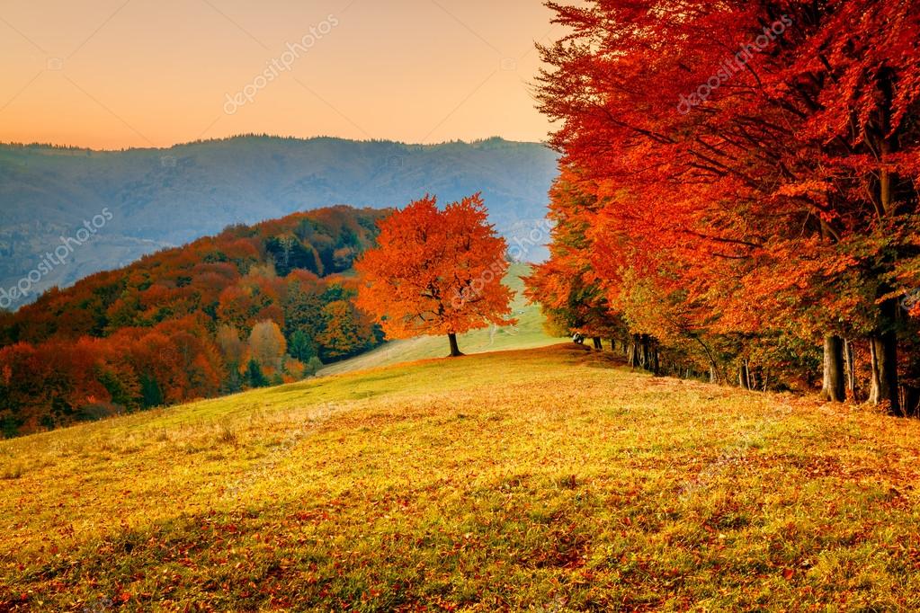 Colorful Autumn Landscape — Stock Photo © Goinyk 62210293