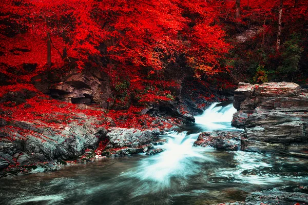 Dağ Akıntısı — Stok fotoğraf