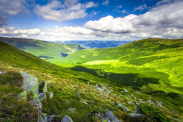 Paisagem verão. — Fotografia de Stock