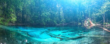 Emerald blue Pool. Krabi, Thailand. clipart