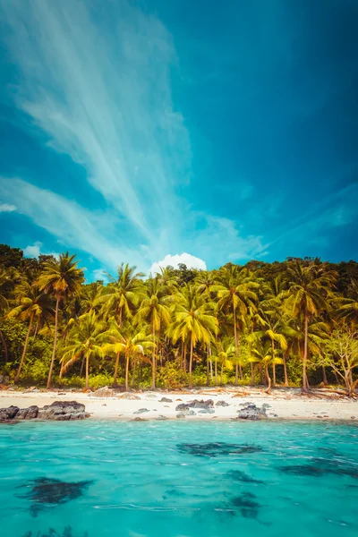 黑板tropiskt landskap — Stockfoto