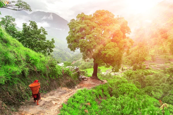 Trekking in Nepal — Stock Photo, Image