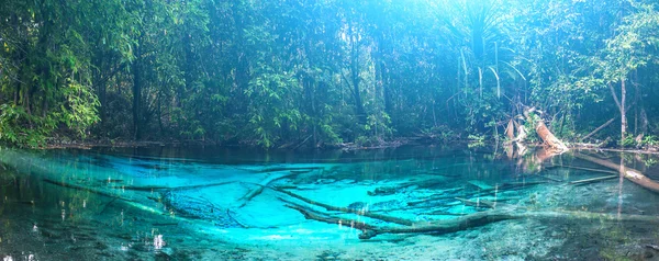 Piscina azul esmeralda. Krabi, Tailandia . — Foto de Stock
