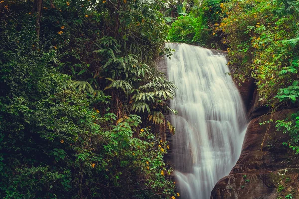 Waterfall on Sri Lanka,Horton Place — Stock Photo, Image