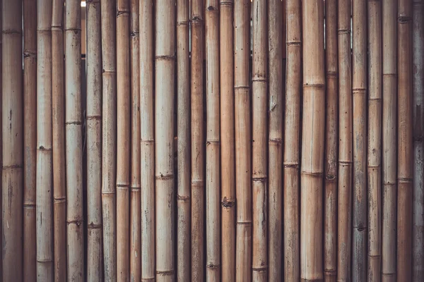 Bamboo shade — Stock Photo, Image