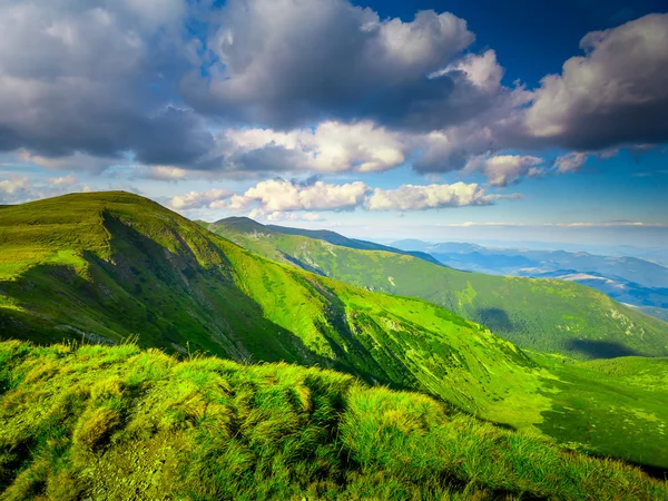 Zomer landschap — Stockfoto