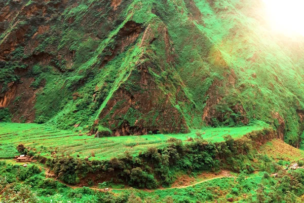 เดินป่าในเนปาล — ภาพถ่ายสต็อก