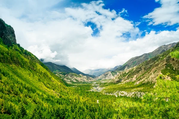 Güzel Asyalı manzara — Stok fotoğraf