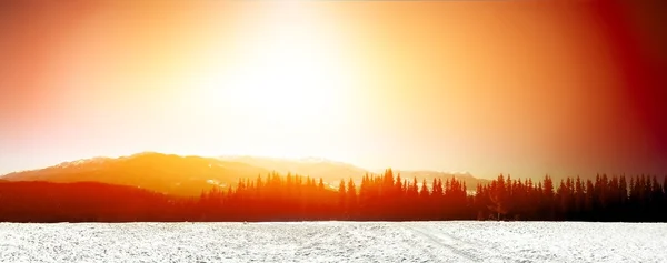 Panoramatické Zimní krajina — Stock fotografie