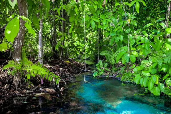 Smaragdbecken — Stockfoto