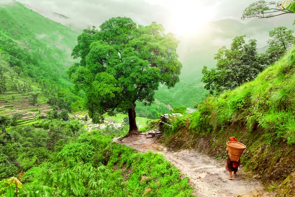 Wandern in Nepal — Stockfoto