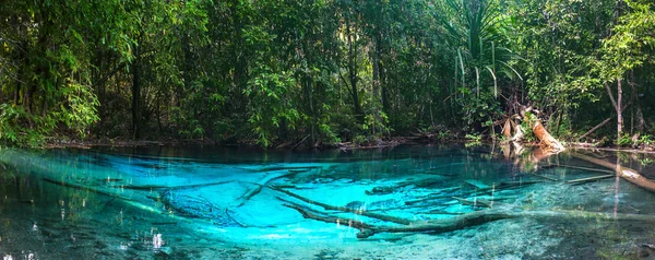 Niebieski Szmaragdowego basenu. Krabi, Tajlandia. — Zdjęcie stockowe