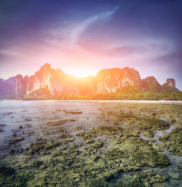 Maya bay Phi phi leh eiland Thailand — Stockfoto