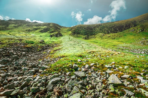 夏天的山地景观 — 图库照片