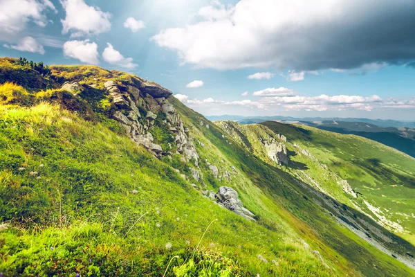 Berglandschap in de zomer — Stockfoto