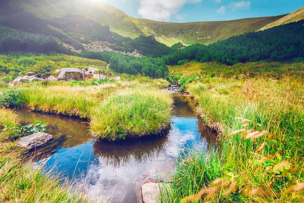 Mountain stream in the morning — 图库照片