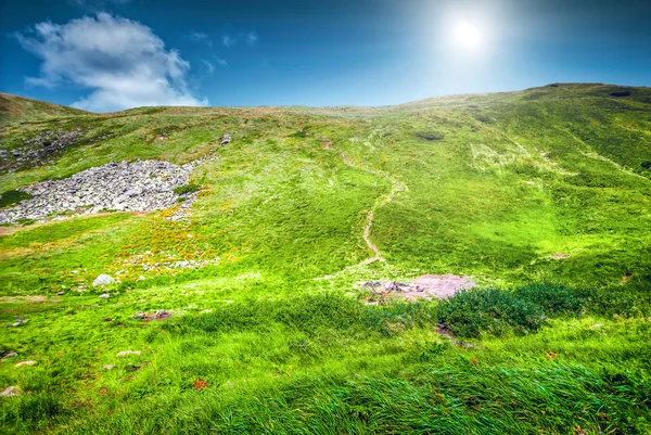 Paisagem montesa no verão — Fotografia de Stock