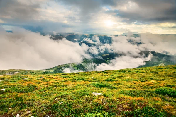 Berglandschap in de zomer — Stockfoto