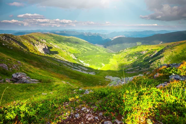 Berglandschap in de zomer — Stockfoto