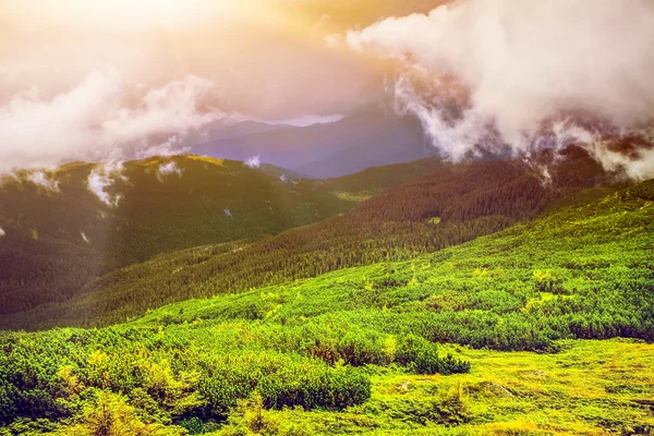 Fantástico pôr do sol nas montanhas da Ucrânia — Fotografia de Stock