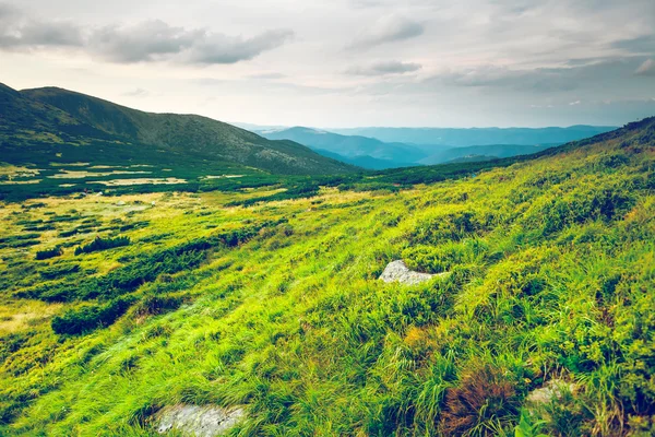 Paisagem montesa no verão — Fotografia de Stock