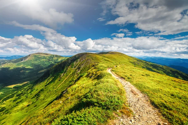 Mountain path in Carpathians, Ukraine. — Stockfoto