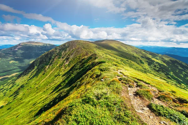 Mountain path in Carpathians, Ukraine. 스톡 이미지