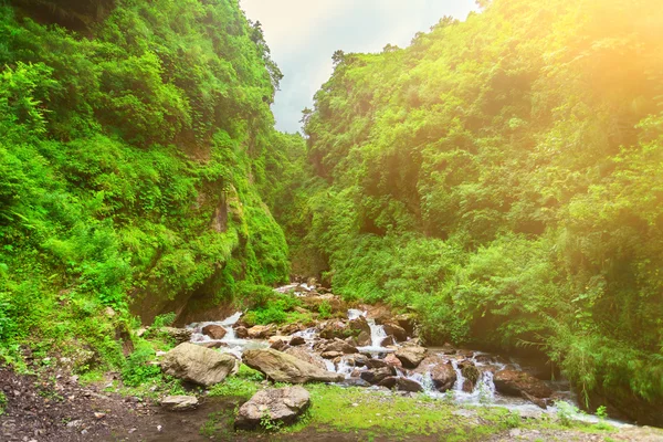 Waterfall in deep forest near. — Stock Photo, Image