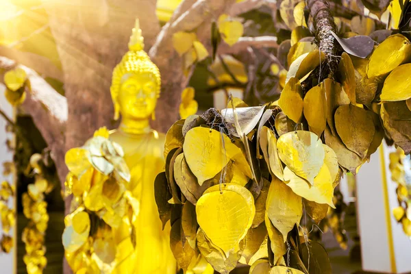 Estátua de Buda com folhas douradas — Fotografia de Stock