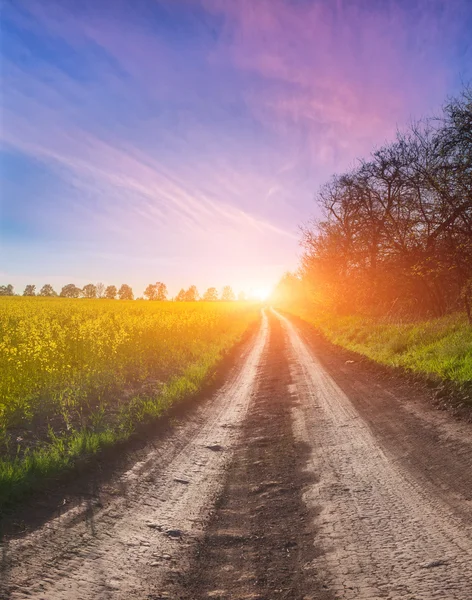 Kleurrijke sunrise in veld — Stockfoto