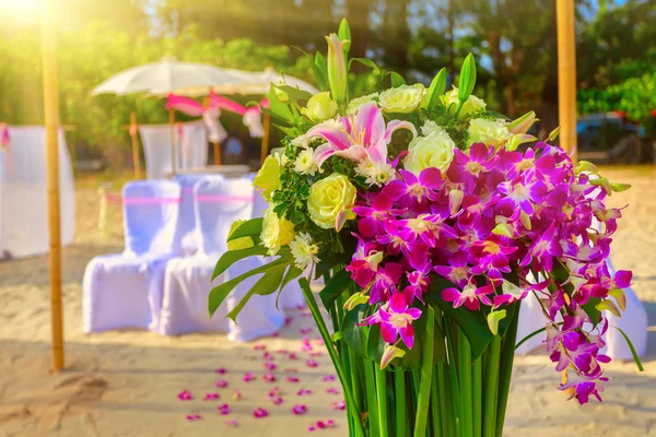 Yellow and pink flowers — Stock Photo, Image