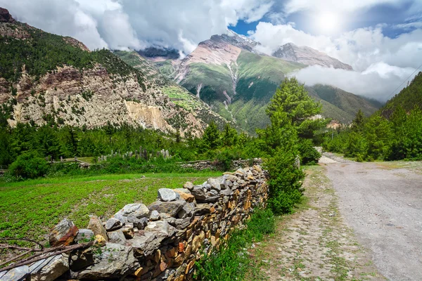 Vista sulle montagne dei Carpazi — Foto Stock