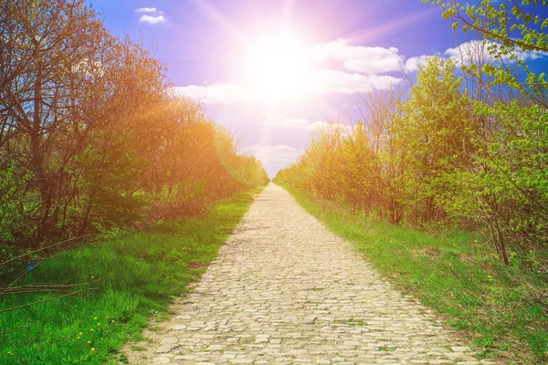 Straßenlandschaft im Bakota-Park — Stockfoto