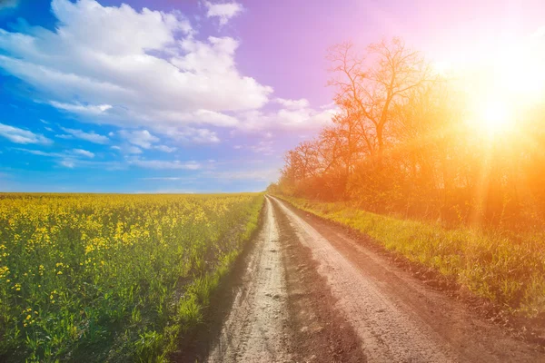 Sunshine în Bakota Park — Fotografie, imagine de stoc