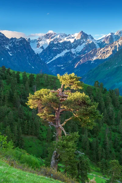 Kaukasiska bergen i Georgien — Stockfoto