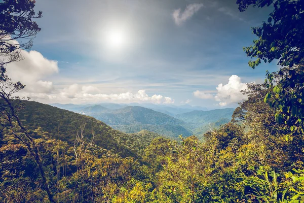 Mountains landscape in Cameron highlands — Stock Photo, Image